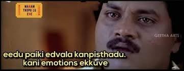 images?q=tbn:ANd9GcRR1-HMF_pGnd2fQkZaeYl