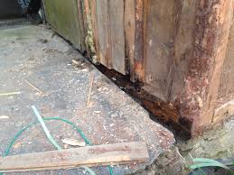 Image result for site:byggahus.se byta syll