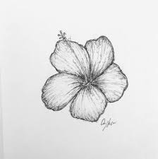 52 Ideas Flowers Sketch Tattoo Small Hawaiian Flower Tattoos Hawaii Flower Tattoos Flower Sketches