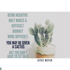 How are cacti adapted to the desert? Facebook