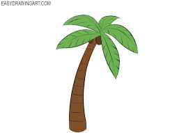 These lines are the beginning of palm tree leaves, or leaves. How To Draw A Palm Tree Easy Drawing Art