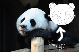 Wo gibt es hilfe beim basteln eigener masken? Susse Pandamaske Zum Ausdrucken Und Spielen Vertbaudet Blog Ein Familien Blog Fur Eltern Kinder Mit Ratgebern Zum Thema Baby Erziehung Uvm