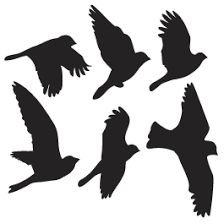 Custom Wall Decals Stickers Vinyl Wall Murals Sign Shop Bird Stencil Flying Bird Silhouette Bird Silhouette Free download 34 best quality bird silhouette outline at getdrawings. pinterest
