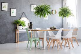 Image result for ledviník