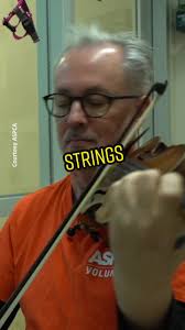 Professional Violinist Performs Music for Abused Animals