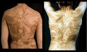 Do Cats Think Humans Are Cats? - Youtube