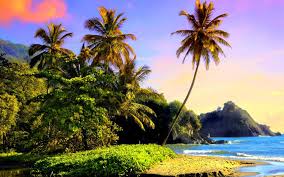 Il y a 6 fonds d'écran dans cette catégorie. Fonds D Ecran Ile Paradisiaque Maximumwallhd Ile Paradisiaque Fond Ecran Plage Paradisiaque