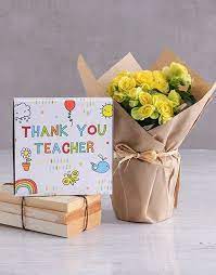 Yellow Begonia And Chocolate Tray For Teachers Flowering Plants Gifts Plant Gifts Teachers Day Gifts Different Types Of Flowers