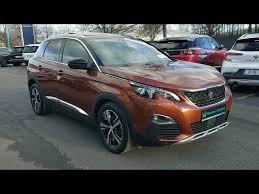Image result for Brown Squirrel 2014 Peugeot
