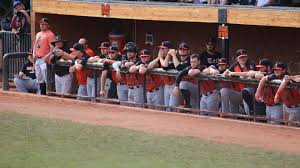 16 indiana rally past no. Jacob Howe 2021 Baseball Indiana Tech Athletics