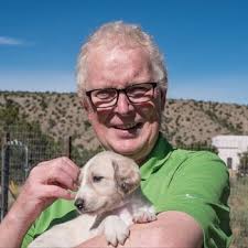 Real Estate Agents in 87016