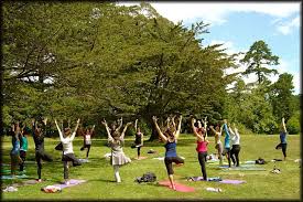 We did not find results for: Free Yoga Classes In Golden Gate Park