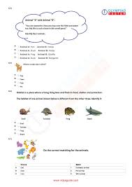 Pin By Breethistar On Science Worksheets Exam Preparation Exam Olympiad Exam