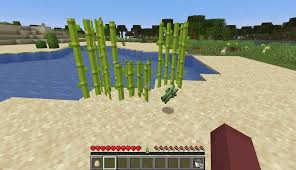 In minecraft, you can add powers to a book by enchanting it. How To Make Book In Minecraft Step By Step