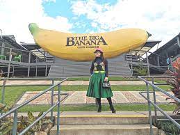 The big banana is a landmark not to be missed in coffs harbour. Australia S Big Things Big Banana In Coffs Harbour Nsw