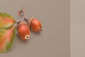 12 de novembro de 2019. Ambito Cultural Do El Corte Ingles Lancamento Do Livro Geracao Z De Cristina Valente Ambito Cultural Do El Corte Ingles