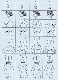 Pcos kann erfolgreich medizinisch behandelt werden. Haarwuchs Und Verlust In Der Pubertat Springerlink
