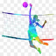Knee pads to protect the knees when sliding or falling. Related Image Volleyball Clipart Clip Art Pictures Volley Ball Hd Png Download 560x700 6339510 Pngfind