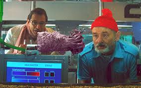 Every line murray breathes a new life of irreverent humor and. Life Aquatic With Steve Zissou Review Underappreciated Anderson Offering