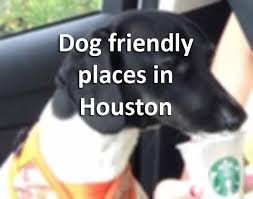 That's what vincent browning did monday when he. 30 Dog Friendly Houston Places Your Pet Might Be Welcome