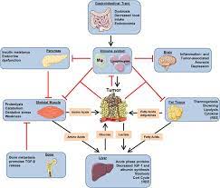People who have cancer may find the physical, emotional, and social effects of the disease to be stressful. Understanding Cachexia As A Cancer Metabolism Syndrome Oncogenesis