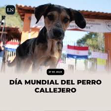 Día de llevar al perro a la oficina. Diario La Nacion Ø¹Ù„Ù‰ ØªÙˆÙŠØªØ± Dia Mundial Del Perro Callejero Por Que Se Celebra El Proposito Es Crear Conciencia Sobre El Cuidado Y Proteccion De Todos Los Perros Que Habitan La