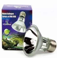 Newest oldest price ascending price descending relevance. Terrarium Big Uvb Light Snake Reptile Lighting And Heating Petwave