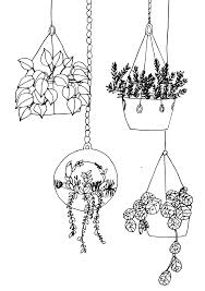 Pflanzen Zeichnen Rankende Hangepflanzen Anfanger Art Journal Fur Ganz Gemacht Leicht Pflanzen Zei Flower Drawing Plant Drawing Drawing For Beginners