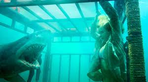 Talk with other fans, catch up with your favorite shows and more. Shark Night Netflix