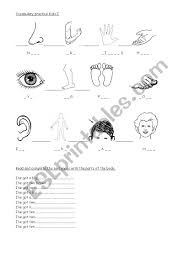 Welcome to esl printables , the website where english language teachers exchange resources: Body Parts Esl Worksheet By Carolina26