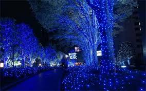 Are you hanging lights up for an event? Christmas String Lights Tree Decorations Outside Rayer Lighting