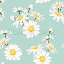 Chrysanthemum flowers for background, beautiful floral texture, retro toning, white and blue color. Daisy Chamomile Field Meadow Spring Stock Vector Colourbox
