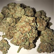 Stardawg aka Stardog Weed Strain Information