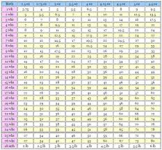 48 veracious chihuahua weight chart growth