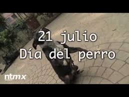 Este 21 de julio se conmemora el día mundial del perro, una fecha para homenajear las muchas cualidades que han mantenido a esta especie con la humanidad por miles de años, pero también darnos cuenta de la difícil situación que los canes viven en nuestros días. Dia Del Perro Youtube