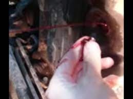 Your 2004 toyota corolla transmission holds seven quarts of transmission fluid. How To Check The Transmission A T Fluid Level In Toyota Sequoia With No Dipstick Youtube