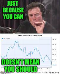 Apr 16, 2021 · tesla meets its bobcat. Tesla Stock Memes Gifs Imgflip
