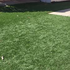 Artificial grass wholesalers artificial grass pet turf. Best Artificial Grass Updated Jul 2021 Mygardenzone
