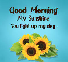 See these paragraphs that will brighten up her day. 120 Good Morning Love Messages And Wishes Wishesmsg