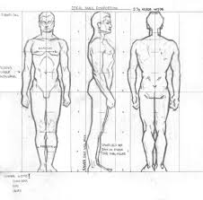 Human male body drawing at getdrawings com free for. Image Result For Male Anatomy Reference Anatomy Study Guy Drawing Anatomy Reference