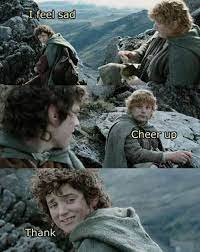 Frodo And Sams Relationship A Summary Lol Wtf Samwise Gamgee Frodo Meme Lotr
