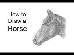In this drawing lesson, we'll show how to draw a horse head step by step total 10 phase here we create a horse head it will be easy tutorial. How To Draw A Horse Head Detail Youtube