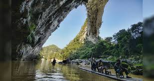 Image result for Helixanthera schizocalyx