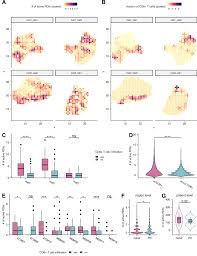 A machine learning model reveals expansive downregulation of  ligand-receptor interactions that enhance lymphocyte infiltration in  melanoma with developed resistance to immune checkpoint blockade | Nature  Communications