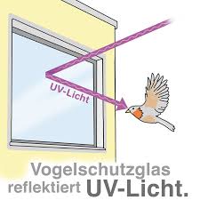 Wintergarten Und Vogelschutz