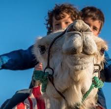 Dubai The Uae S Kid Friendly Gem Kid Friendly North Africa Friendly