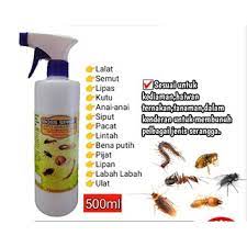 Cara nak matikan semut di kereta. Top Killer Boss Spray Camay Hapus Semut Kutu Kerengga Serangga Spray Serangga Organik Shopee Malaysia