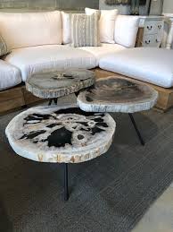 Arhaus Petrified Wood Coffee Tables Petrified Wood Table Coffee Table Petrified Wood