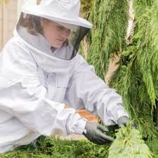 Termitrust provides safe and effective pest control solutions for all types of pests in ipswich, springfield & surrounding areas. Ehrlich Pest Control 17 Photos 10 Reviews Pest Control 5410 Port Royal Road Springfield Va Phone Number