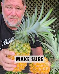 How to Know When a Pineapple is Ripe
